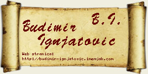 Budimir Ignjatović vizit kartica